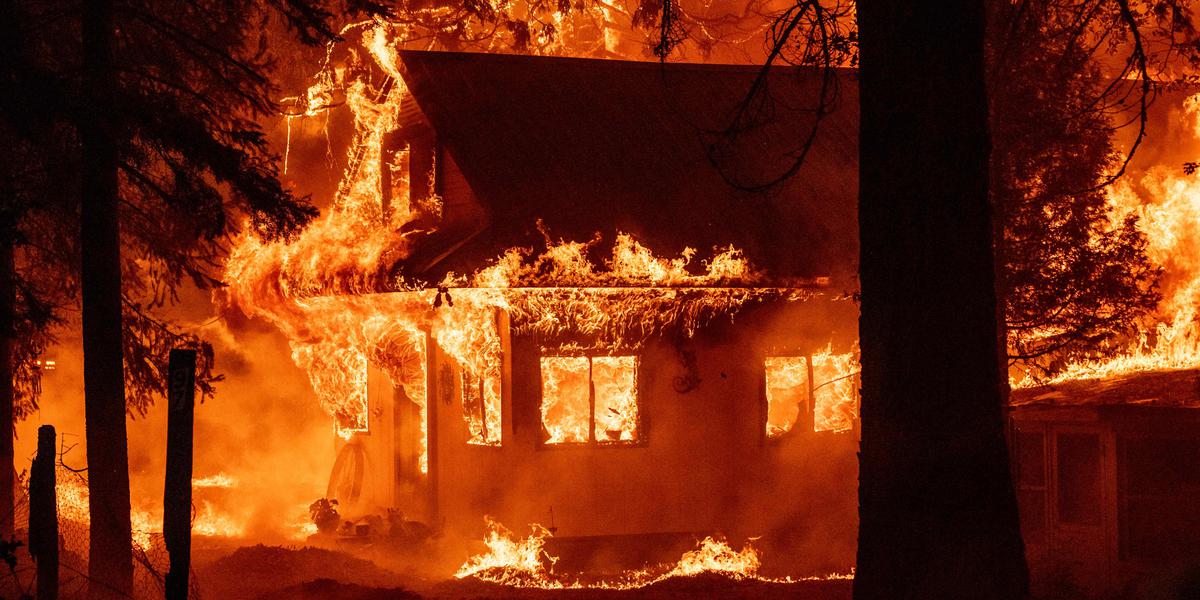 Incendies de Californie : une priorité à l&rsquo;environnement qui a coûté cher