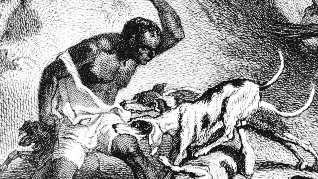 Le Scandale Médiatique de la « Chasse aux Nègres » : Une Fausse Information Dévoilée