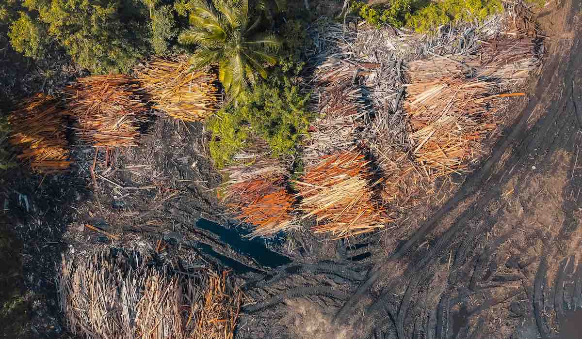 L&rsquo;effondrement des récits : les médias arabes en proie à une nouvelle guerre