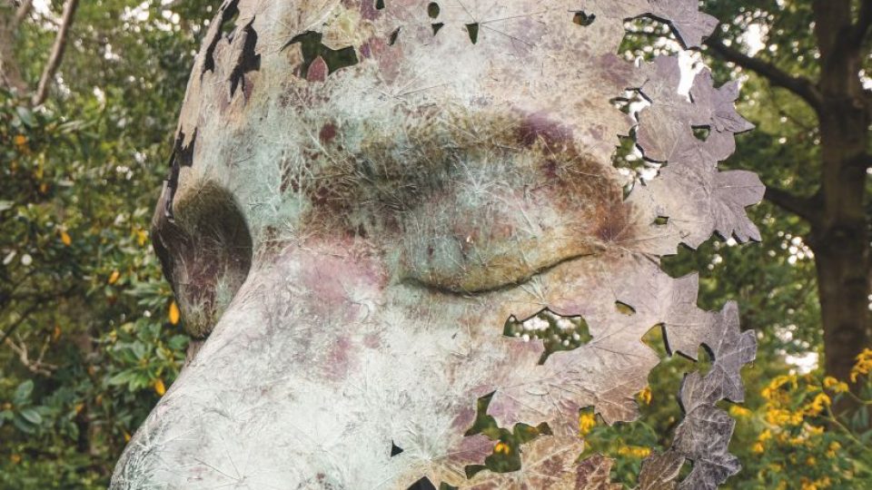 Un brasier contre l&rsquo;indifférence : Chamel Abdulkarim et la révolte économique