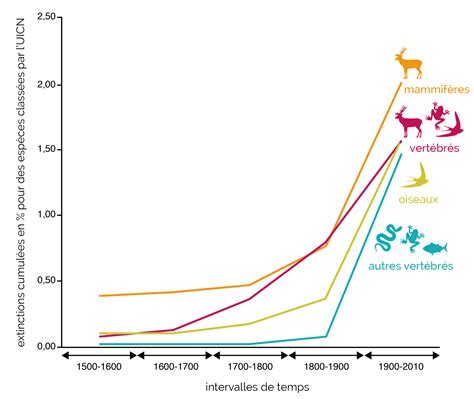 L’identité animale en crise : le phénomène des thérianthropes et son impact sur l’Europe
