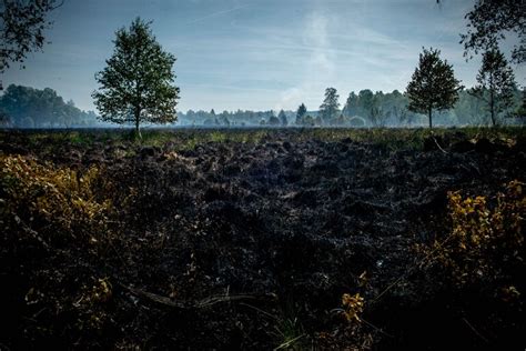 LES HAUTES FAGNES EN FEUX : 3000 HECTARES DÉVASTÉS ET URGENCE TRANSFRONTALIÈRE