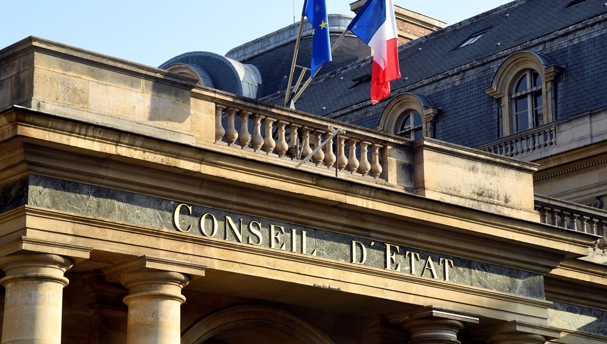 Pluralisme en Danger : Les 71 Juristes Font Pression sur le Conseil d’État pour Retirer CNews et Europe 1