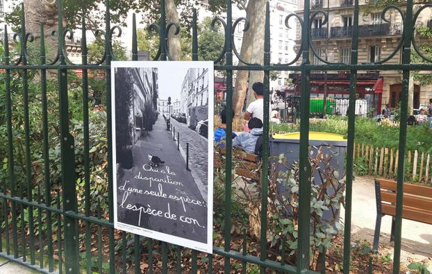 Paris en décomposition : l’insécurité et la saleté écrasent l’élégance